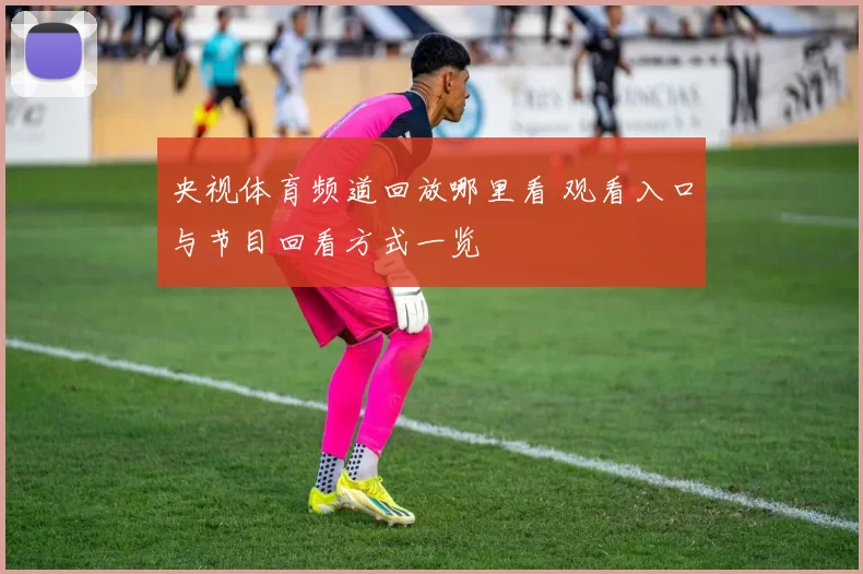 央视体育频道回放哪里看 观看入口与节目回看方式一览